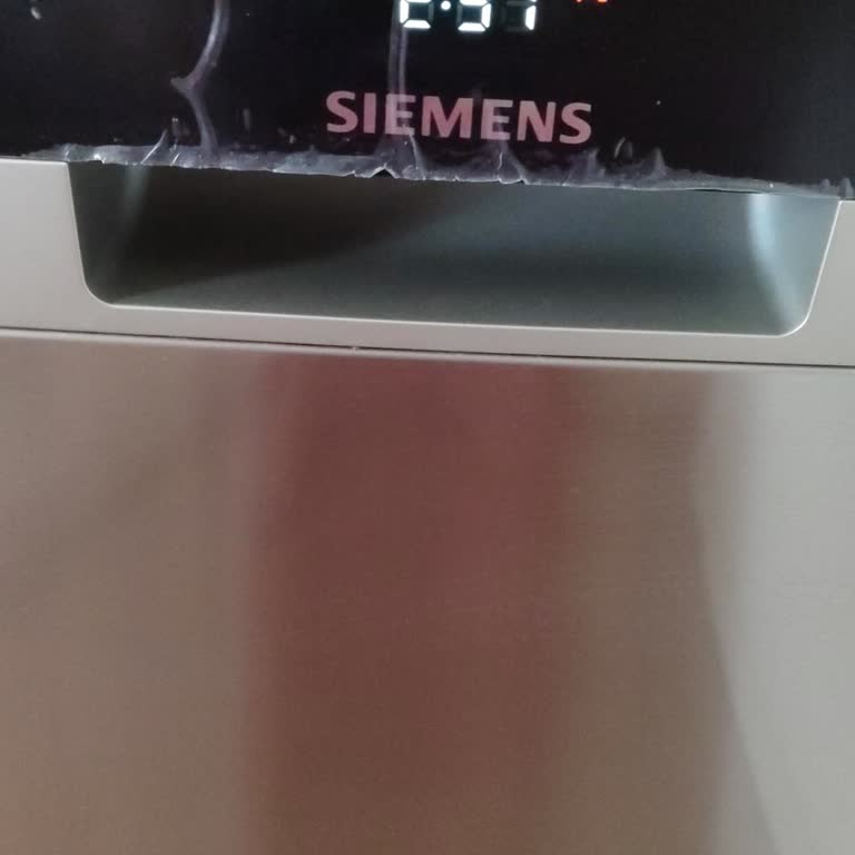 Hata 31 Siemens Bulaşık Makinesi
