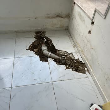 Mapfre Sigorta Ve Alakasız Ekspertiz Firması