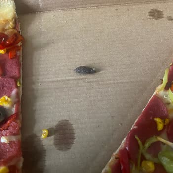 Terra Pizza Sayesinde Dişim Kırıldı Artık Daha Kısa Bir Dişim Var!