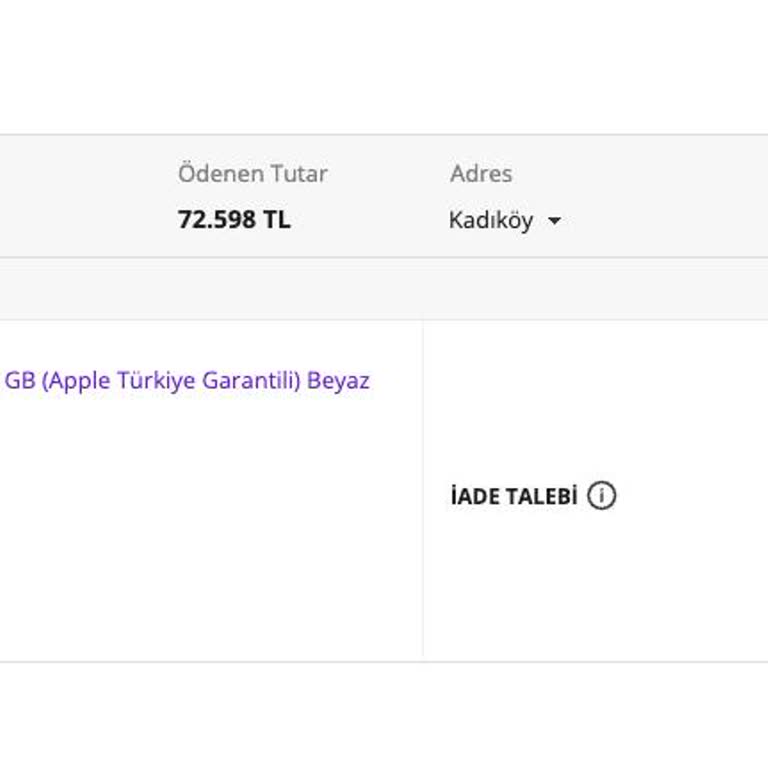 N11 - Troy Apple İPhone 13