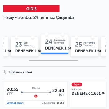 Türk Hava Yolları Uçuş Seferleri İptali