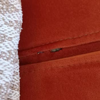 Ayaz Koltuk (İzmir) Yırtık Koltuk Geldi