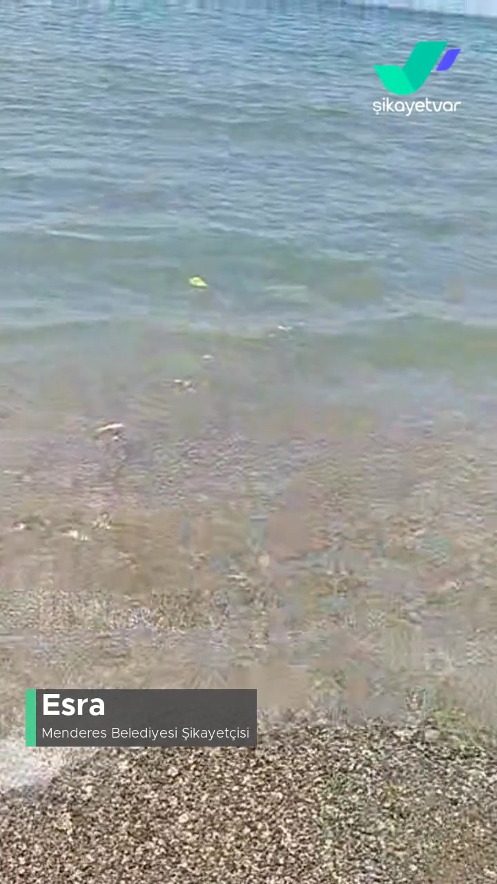 Menderes Belediyesi Denizin Ve Sahilin Genel Durumu! videonun kapak resmi
