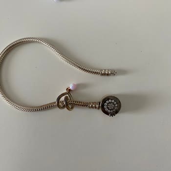 Pandora Mücevher 1 Günde Kararan Pandora Bileklik