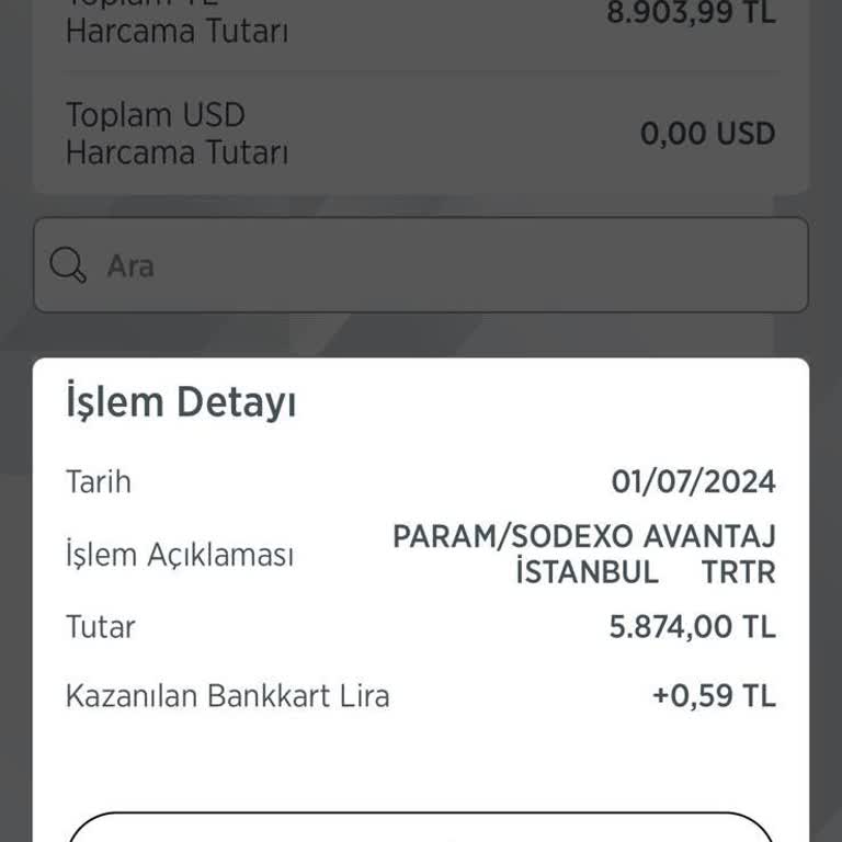 Sodexo Pluxee Yemek Çeki