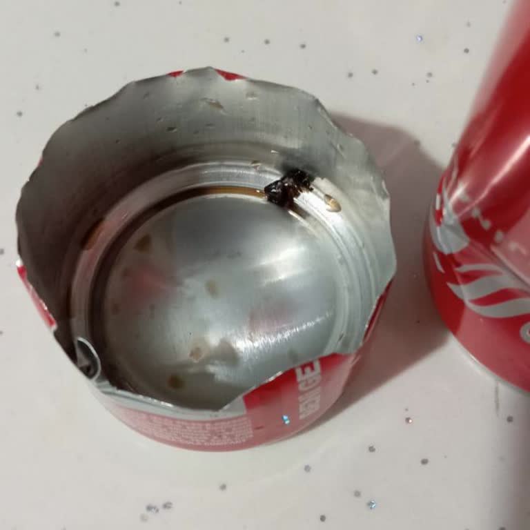 Cola-Cola Insekt in der Dose gefunden – Beschwerde über schockierendes Erlebnis