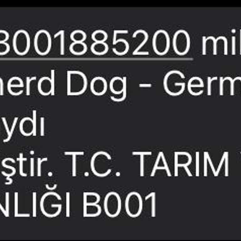 Tarım ve Orman Bakanlığı Tarım Ve Orman