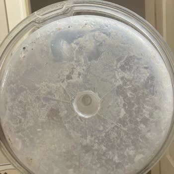 İhlas Aura Cleanmax Süpürge Haznesinde Deformasyon Sorunu