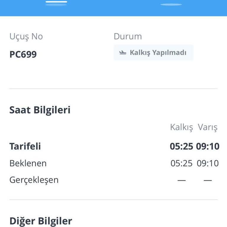 Flypegasus Cidde (Jeddah) Terminal Karmaşası Ve Mağduriyeti