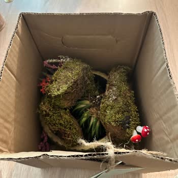 ÇiçekSepeti Hatalı Çiçek Gönderimi Hakkında