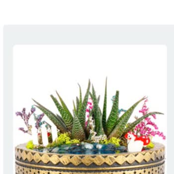 ÇiçekSepeti Hatalı Çiçek Gönderimi Hakkında