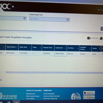 Gelir İdaresi Başkanlığı Trafik Cezası Borcu Ödenmesine Rağmen Silinmiyor