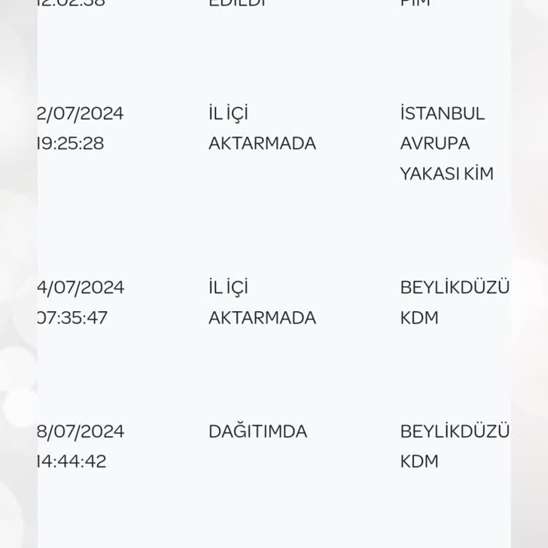 PTT Kargo Teslim Edilmeyen Kargo Ve Ulaşılamayan Müşteri Hizmetleri