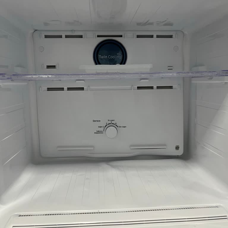 Samsung Buzdolabı Değişim Dondurucu Şişmesi