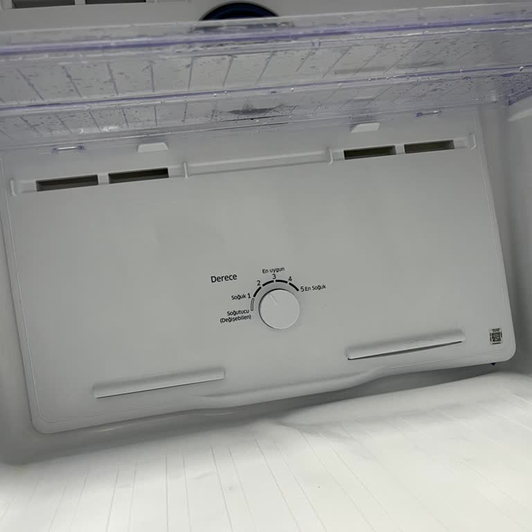 Samsung Buzdolabı Değişim Dondurucu Şişmesi