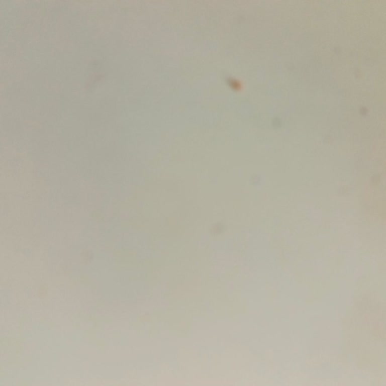 Hepsiburada Yardım Talebi İçin Yazıyorum