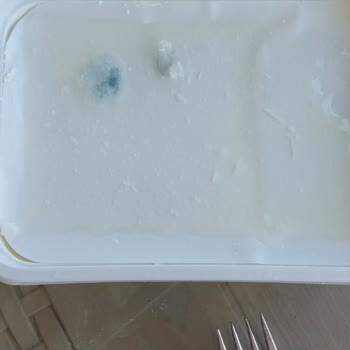 Küflü Pınar Süzme Peynir