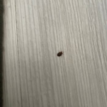 Koçtaş Satış Sonrası İlgisizliği Ve Mağdur Etmesi