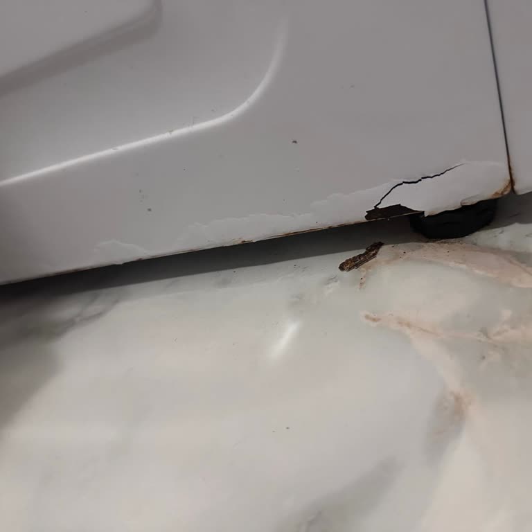 Arçelik Çamaşır Makinesi Paslanma