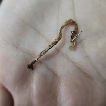 Eti Gıda Ürün İçerisinden Bilinmeyen Bir Cisim Çıktı