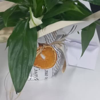 ÇiçekSepeti Sipariş Verilen Ürün İle Gönderilen Ürün Arasında Benzerlik Yok.