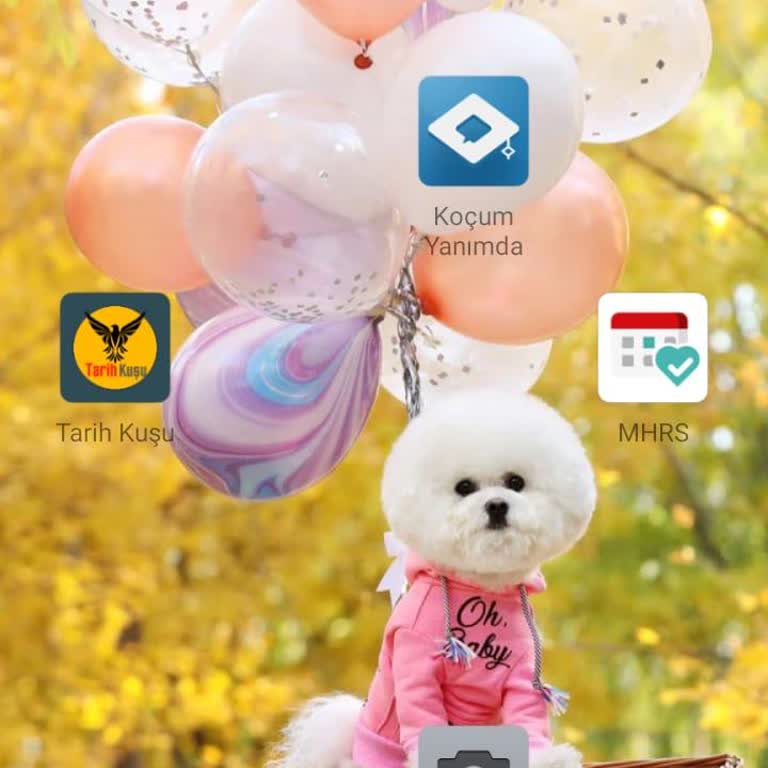 Doping Hafızanın Koçum Uygulamasının Gerçeği!