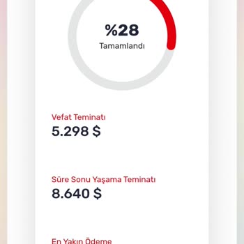 Viennalife Emeklilik Sigortasında Yüksek Kesinti Mağduriyeti