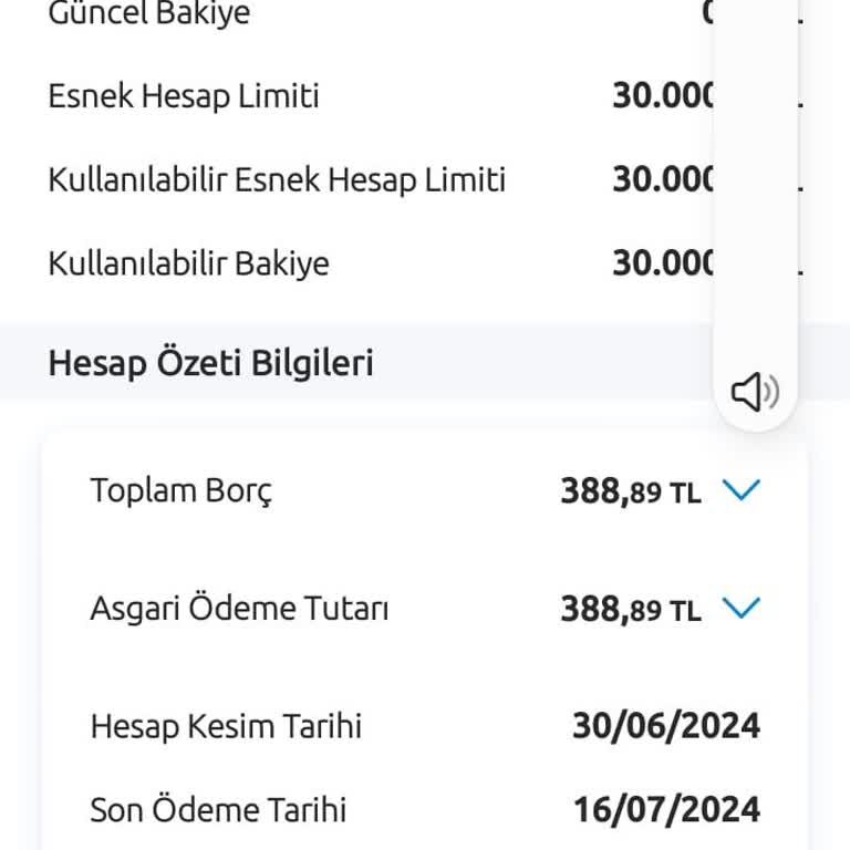 Yapı Kredi Esnek Hesap Faizi