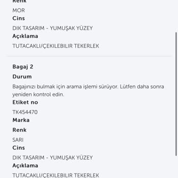 THY Kayıp Bagajlarım Uçağa Koymayı Unutmuşlar