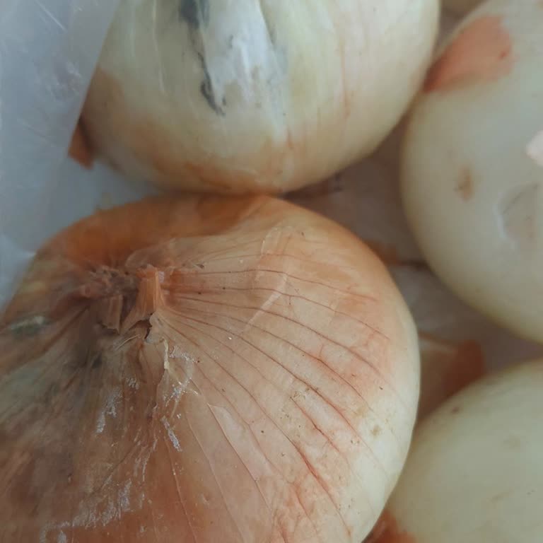 Afyon Migros Sanal Market'in Tekrarlayan Sipariş Problemleri