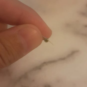 Oyya Gelato Tatlının İçinden Çıkan Kabuk Ve Metal Obje!