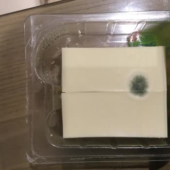 PınarOnline Pınar Et Ve Süt Küflü Tost Peyniri Teslimatı