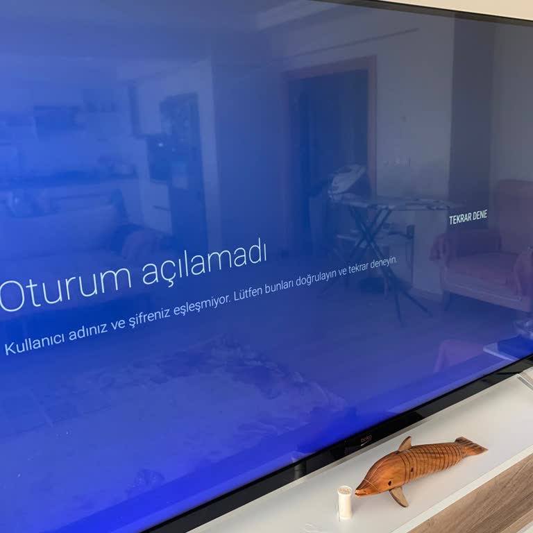 Beko TV Google Hesabı Problemi