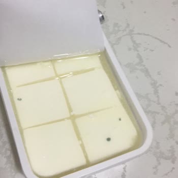 Tarihi Geçmediği Halde Küflenen Ekici Peynir