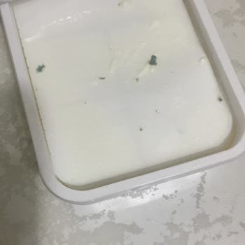 Tarihi Geçmediği Halde Küflenen Ekici Peynir
