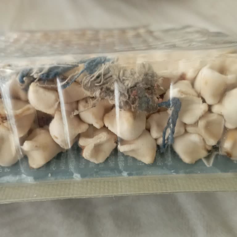 Erciyes Mantı Paketinde Hijyen Sorunu