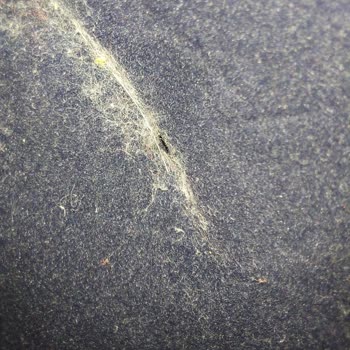 Bestway'in Ürünün Arkasında Durmaması