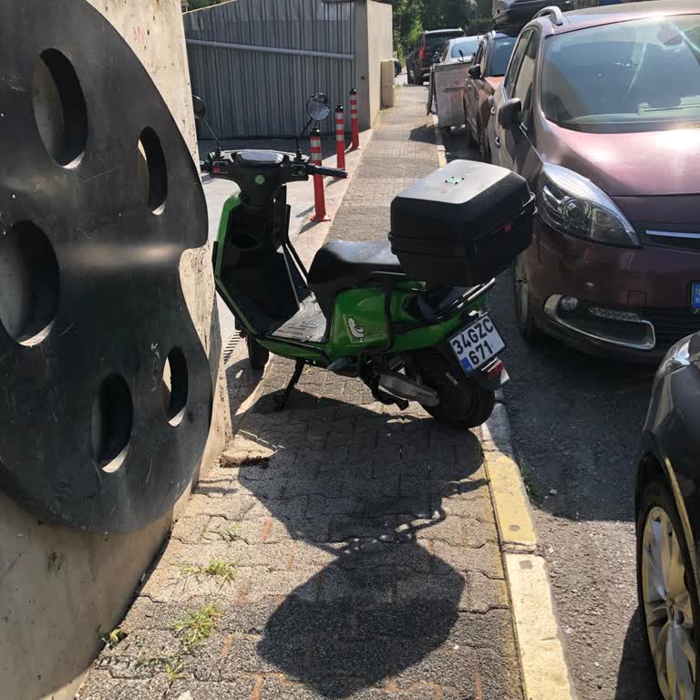 Martı Kaldırıma Yanlış Park Etme