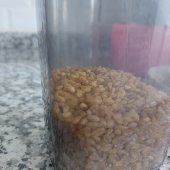 A101 Böceklenmiş Ürün Satışı Hak.