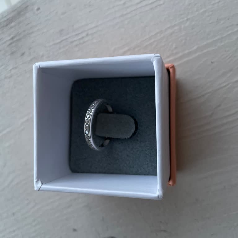 Atasay İade Problemi Hakkında