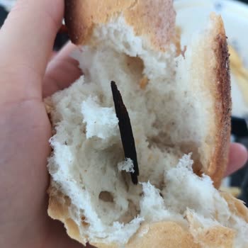 A101 Ekmeğin İçinden Odun Parçası Çıktı