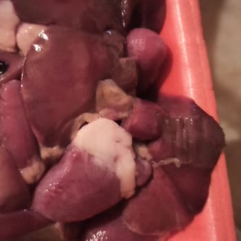 Doyfarm Ciğer Yürek Kokuyordu.