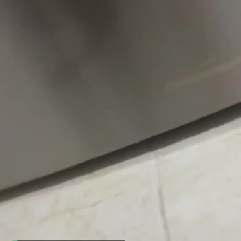 Siemens Inox Buzdolabında Renk Atması!