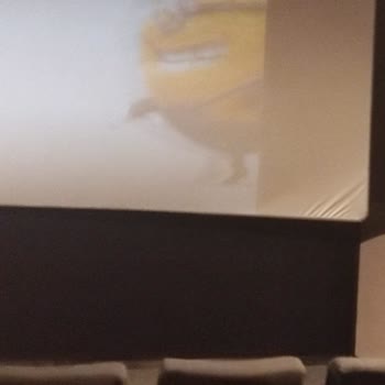 Cine1Can Seyir Zevki Çok Düşük Perdeler Hasarlı Ve Pis Durumda