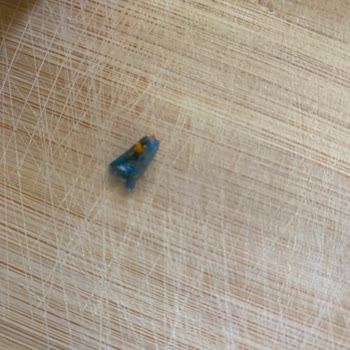 Maret Dana Kangal Sucuktan Plastik Parçası Çıktı