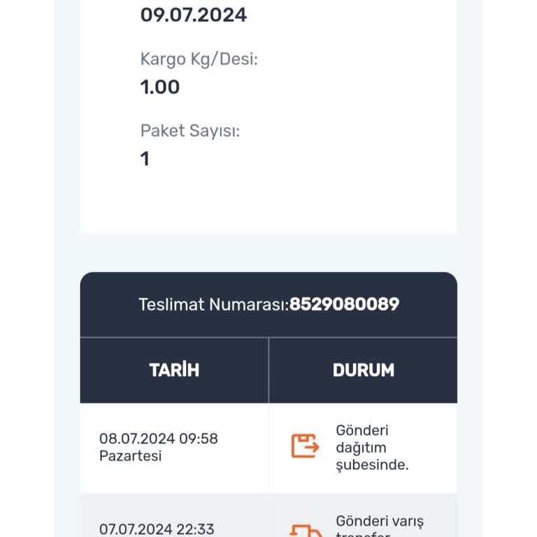 Sürat Kargo Da Kargom Kayıp