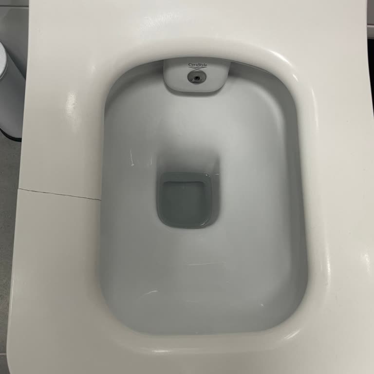 Turkuaz Seramik Cerastyle İbiza Klozet Kapağının Kırılması