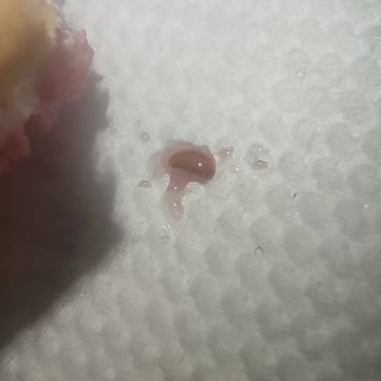 Eti Gıda Eti Puf Ürünü İçerisinde Çıkan Kurtçuklar