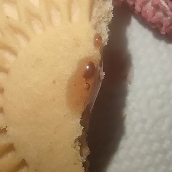 Eti Gıda Eti Puf Ürünü İçerisinde Çıkan Kurtçuklar