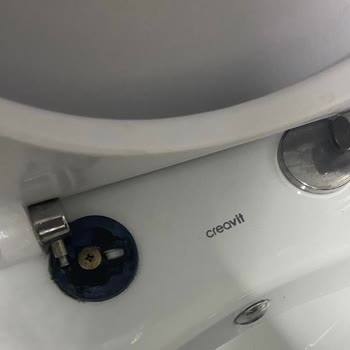 Creavit Duck Mat Siyah Klozet Kapağı Menteşesi Kırıldı. Acil Yardım.